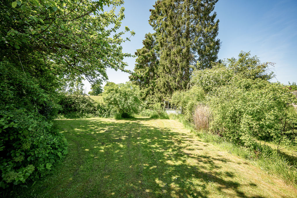 Garden- click for photo gallery